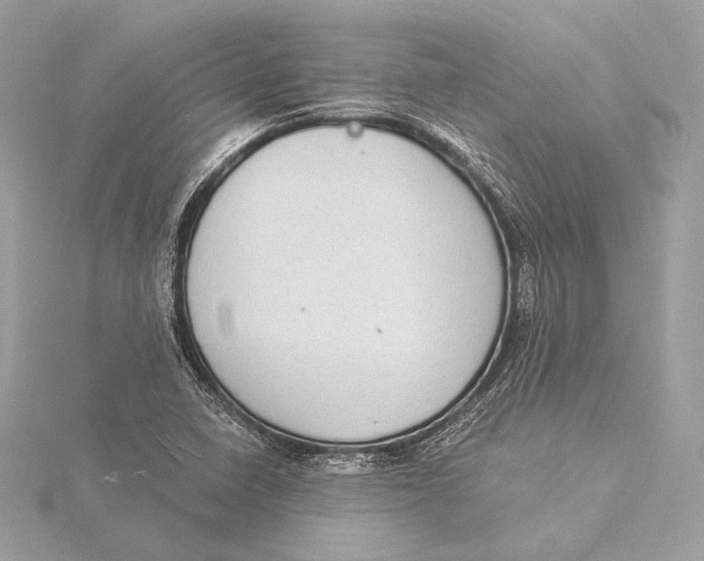 X0000115851410200912041719