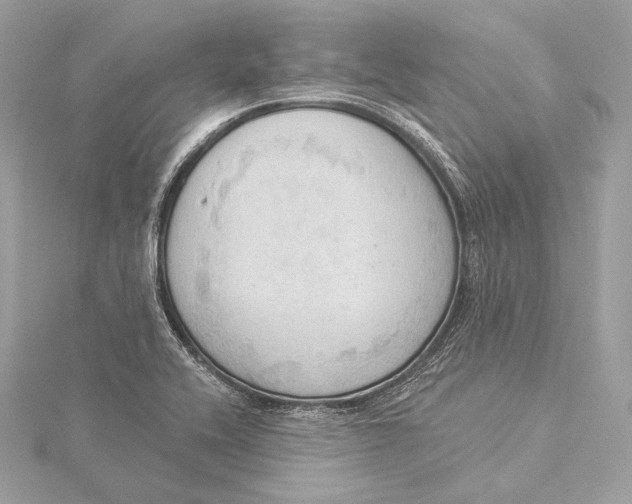 X0000115851416200912041719