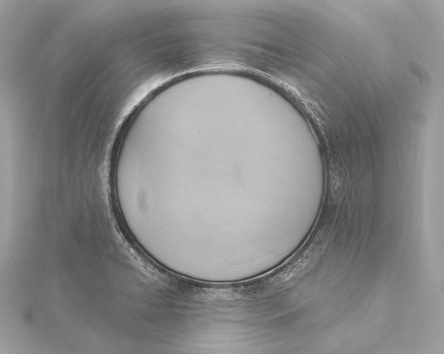 X0000115851422200912041719