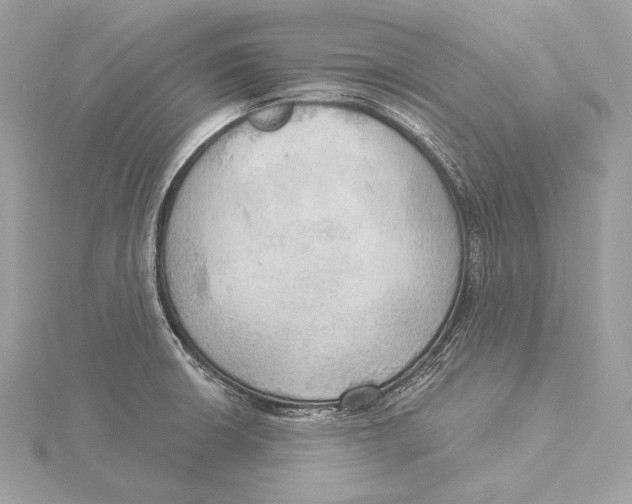 X0000115851426200912041719
