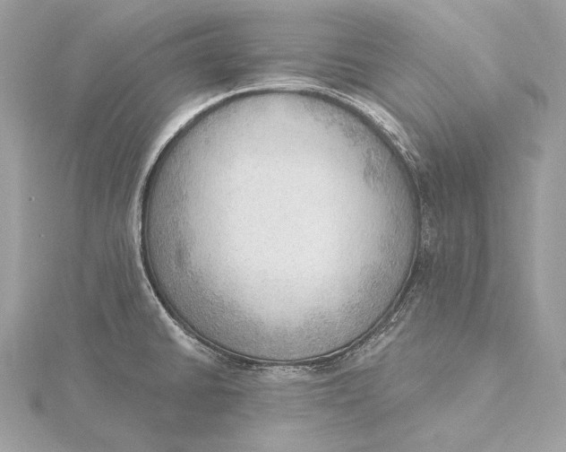 X0000115851430200912041719