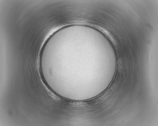X0000115851432200912041719