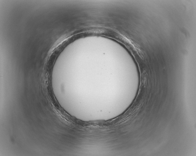 X0000115851448200912041719