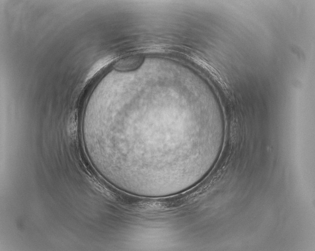 X0000115851450200912041719