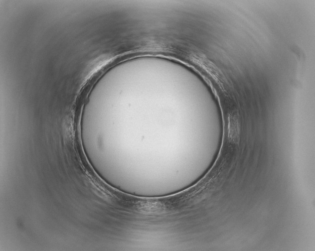 X0000115851452200912041719