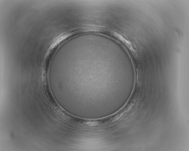 X0000115851453200912041719