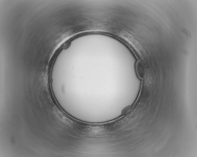 X0000115851460200912041719