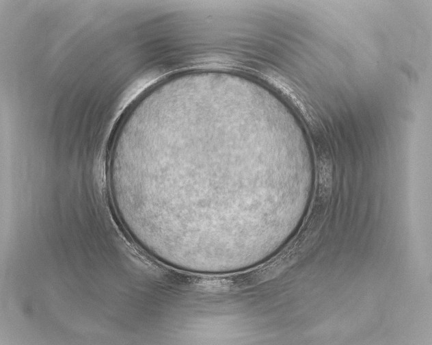 X0000115851466200912041719