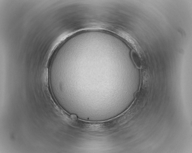X0000115851472200912041719