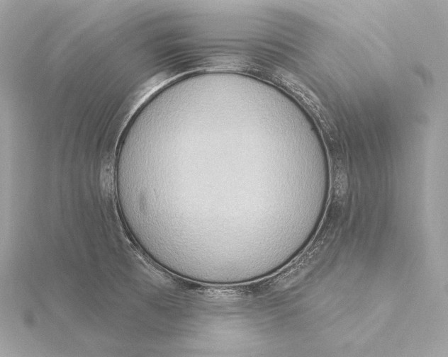 X0000115851473200912041719
