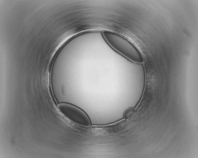 X0000115851476200912041719
