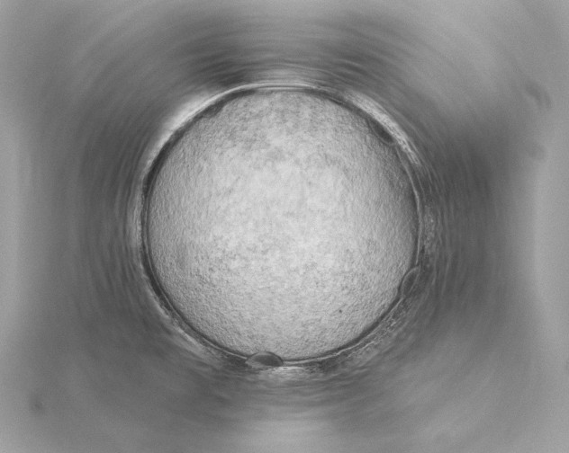 X0000115851477200912041719