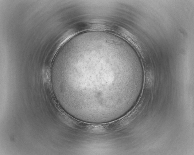 X0000115851481200912041718