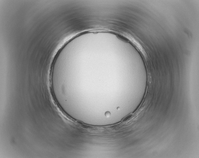X0000115851485200912041718