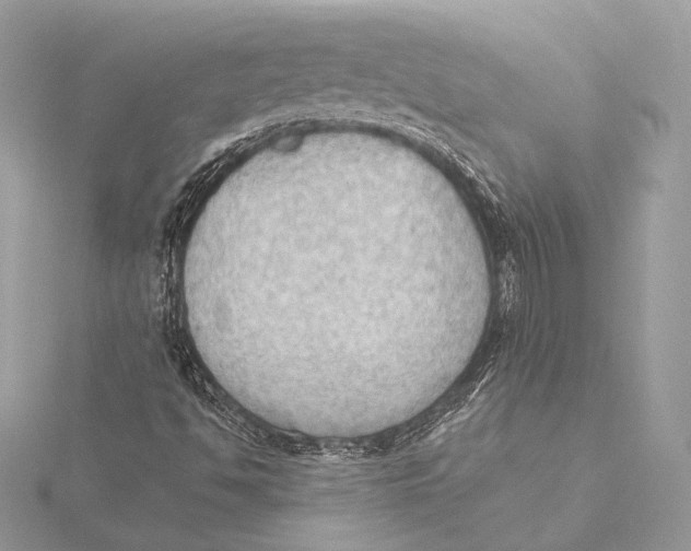 X0000115851494200912041718