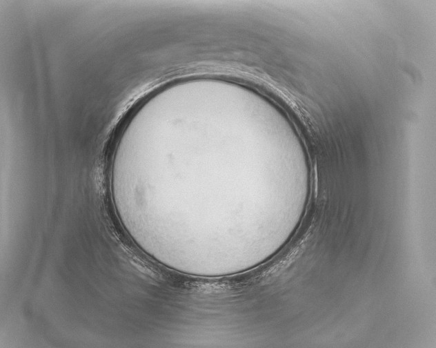 X0000115851501200912041718