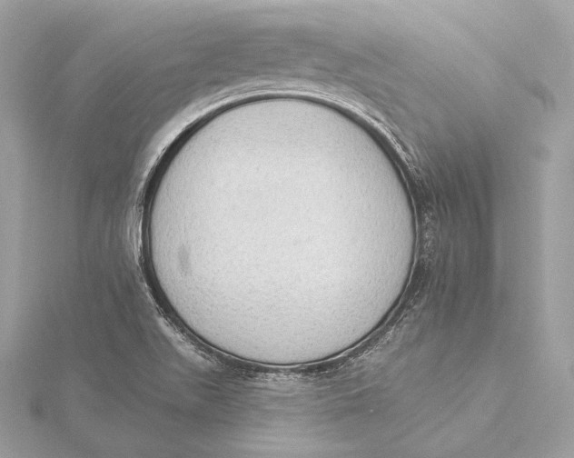 X0000115851511200912041718