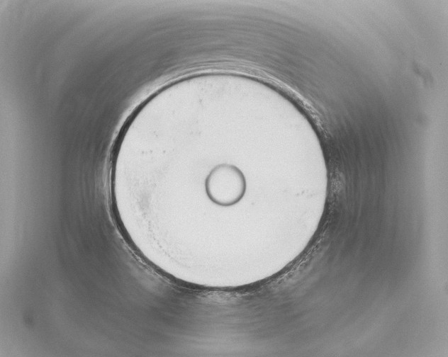 X0000115851514200912041718