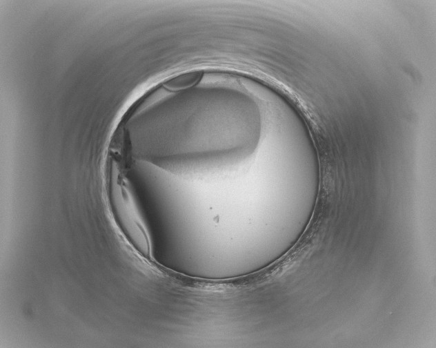 X0000115851522200912041718