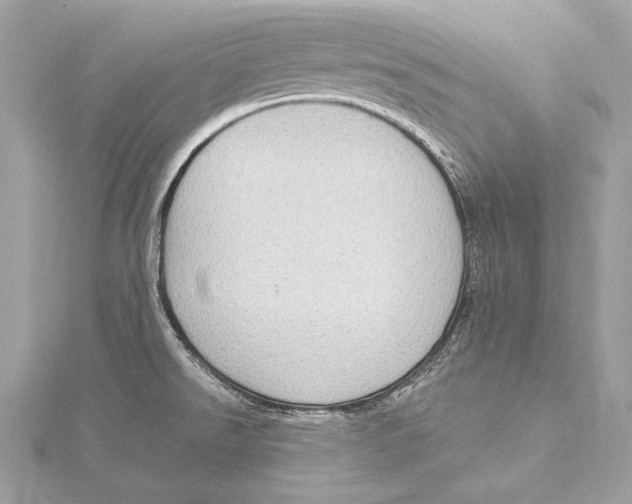 X0000115851526200912041718