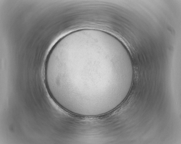 X0000115851531200912041718