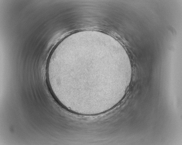X0000115850002200912111403