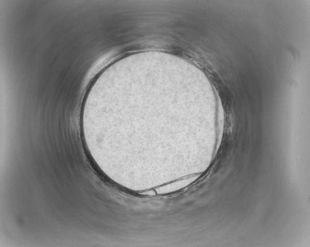 X0000115850004200912111403