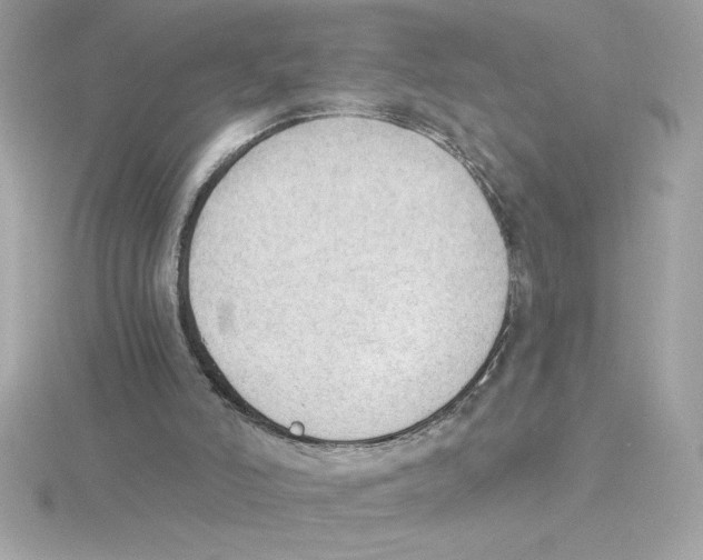 X0000115850006200912111403