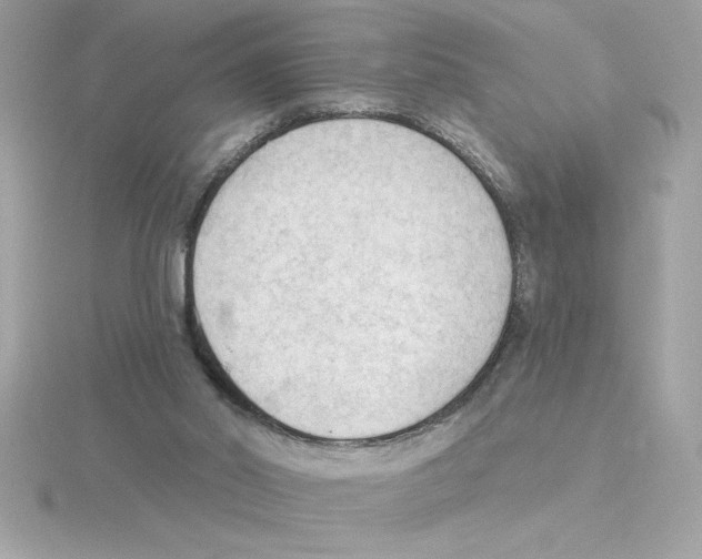 X0000115850014200912111403