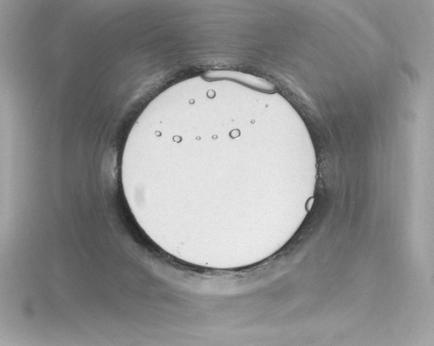 X0000115850024200912111403