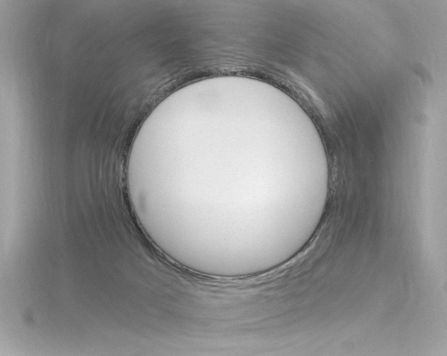 X0000115850025200912111403