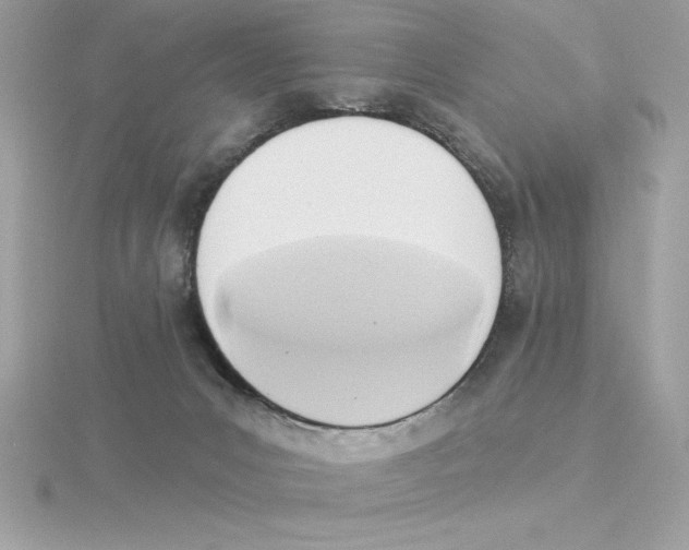 X0000115850031200912111403