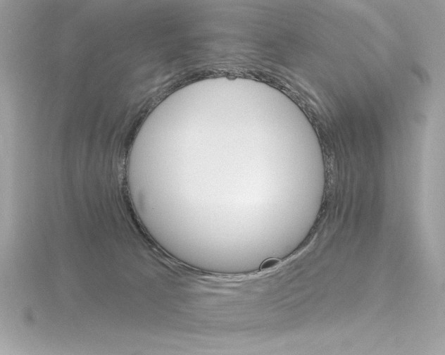 X0000115850033200912111403