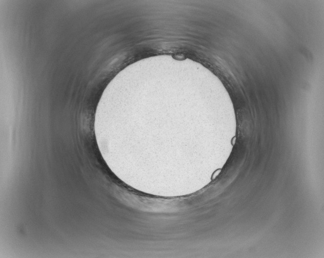 X0000115850044200912111402