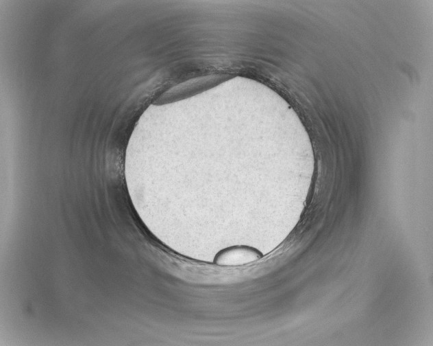 X0000115850048200912111402