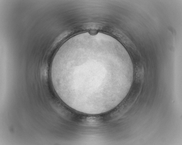 X0000115850064200912111402