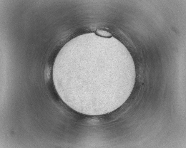 X0000115850075200912111402