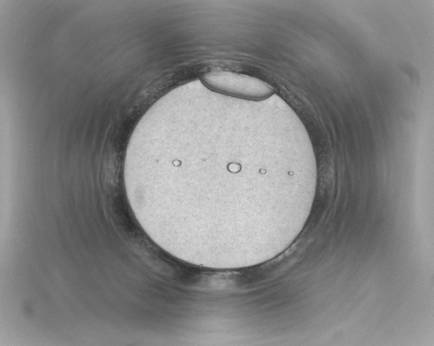 X0000115850078200912111402