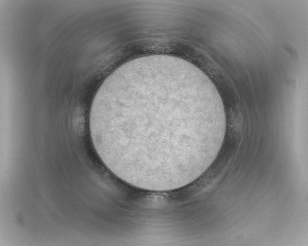 X0000115850080200912111402
