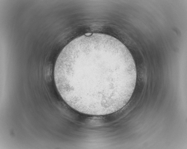 X0000115850082200912111402