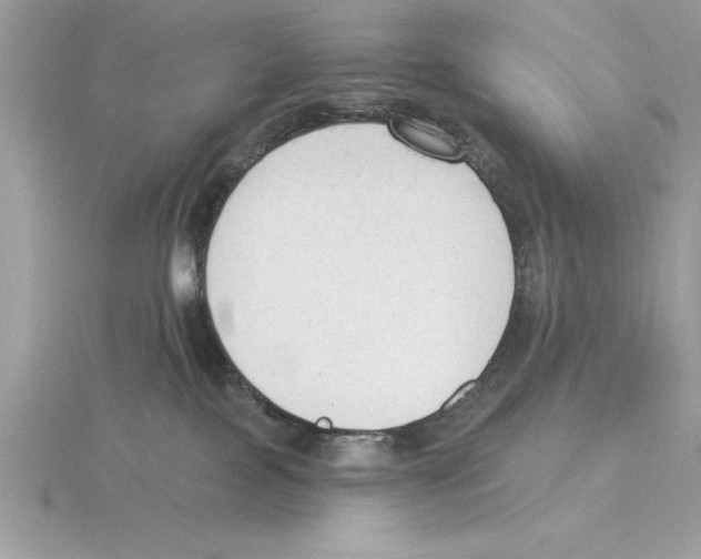 X0000115850089200912111402