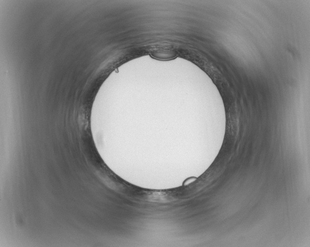X0000115850091200912111402