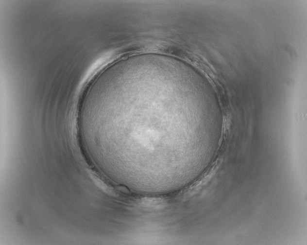 X0000115850101200912111402
