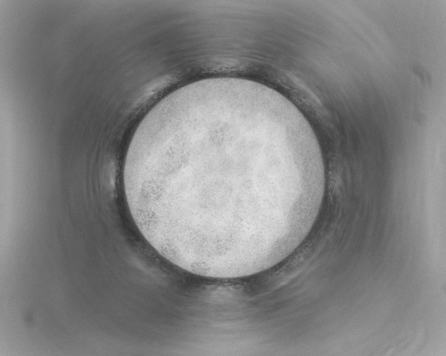 X0000115850115200912111401