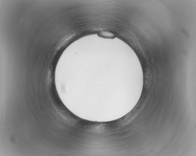 X0000115850116200912111401