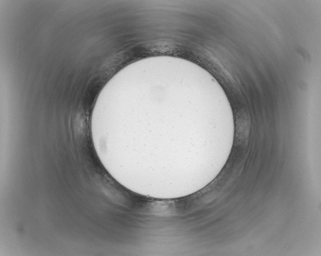 X0000115850126200912111401