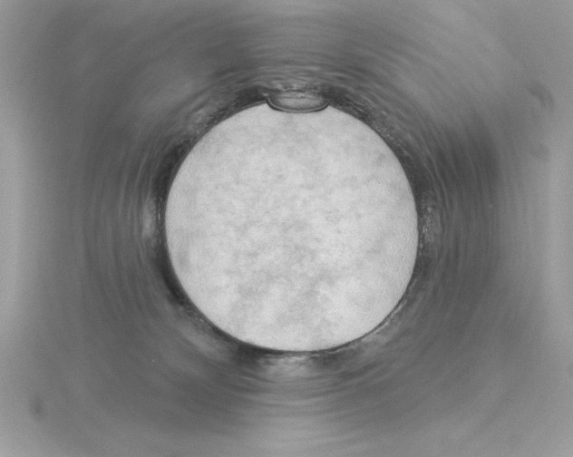 X0000115850132200912111401