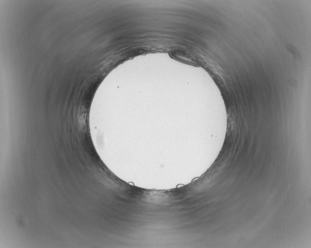 X0000115850141200912111401