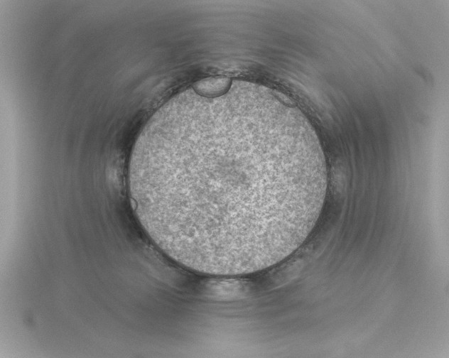 X0000115850181200912111401