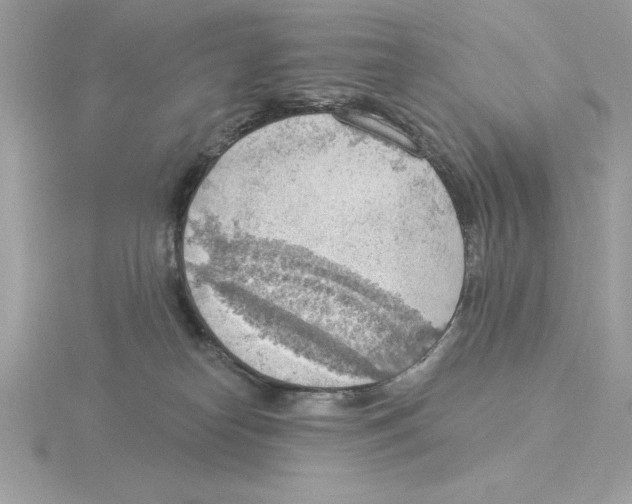X0000115850182200912111401